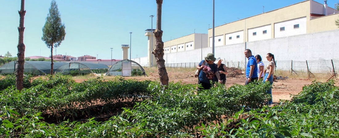 Antalya’da Uluslararası Sosyal Tarım ve Organik Tarım Projesi Tamamlandı
